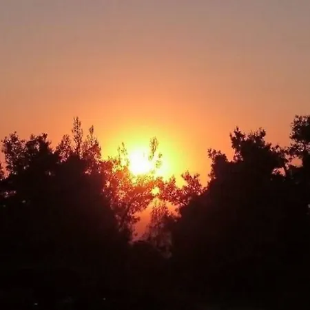 #luxlikehome Hill Summer *